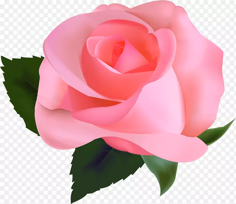 õ����Ӱ������-õ��-������