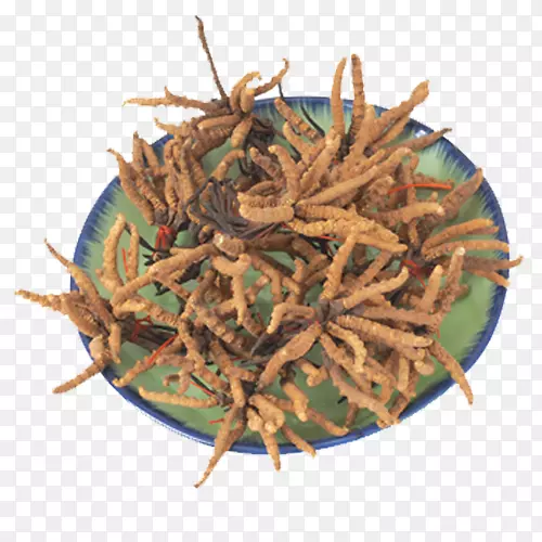 ����Դ��ʳƷ�䷽.ҩ�ò�ҩ-������