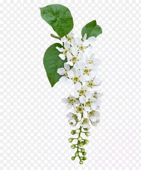 ��ʯ��Bokm rke������-��-������