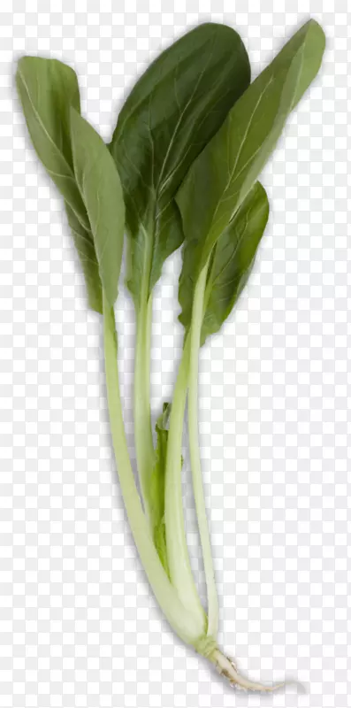 ɳ��С���ɴ���-�߲�-������