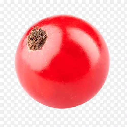 ���Ѻ���ع�����-����-������