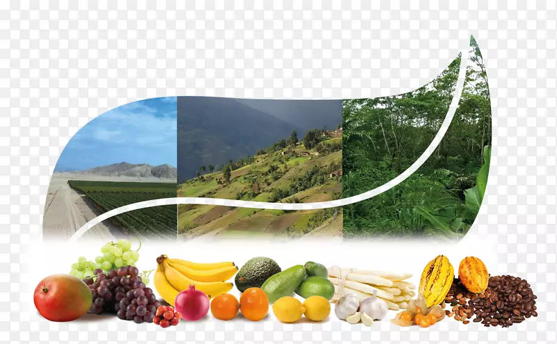 ���ϳ���ʳƷ���-������