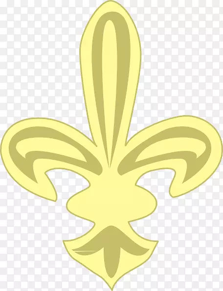 ����ֲ���Ҷ������-������