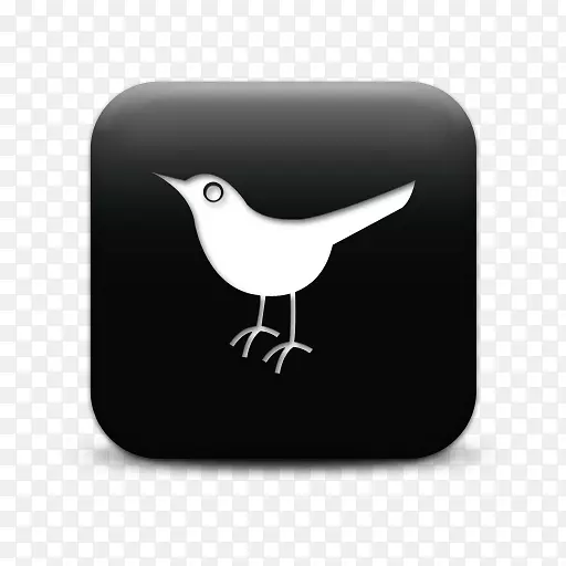 �罻ý�����ý���罻������񲩿�-�罻ý��-������