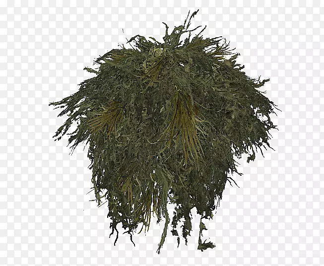 ��-��-������