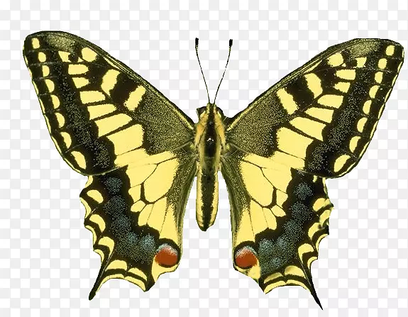 ��������С���ɥ�����������-����-������