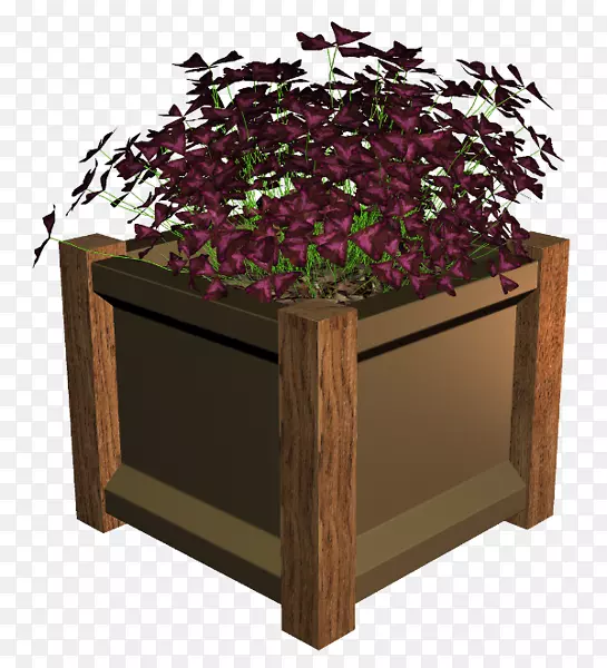 ����ֲ�ﳤ����-������