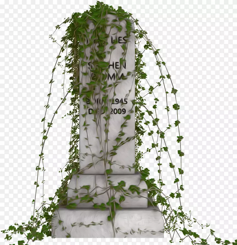 ������ƻ�����-������