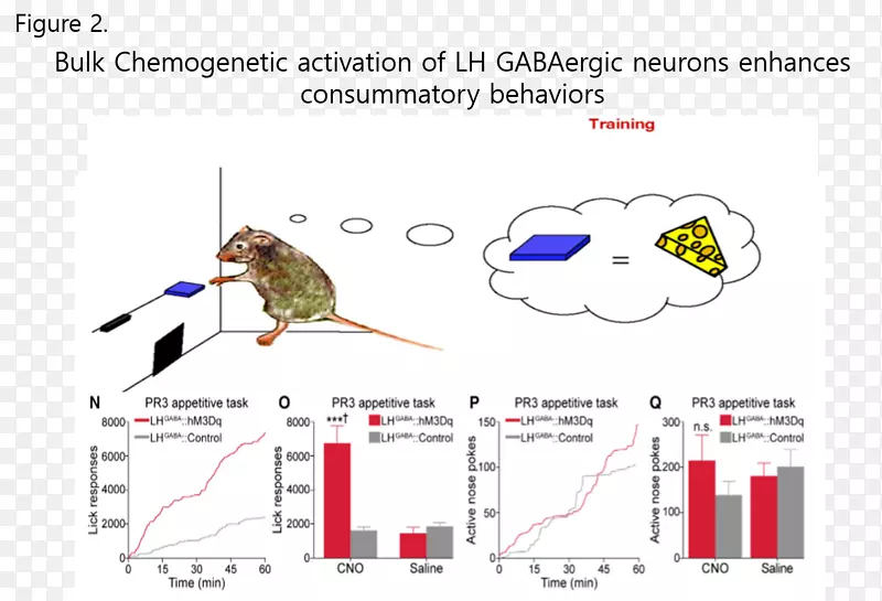 �ߵ����-������