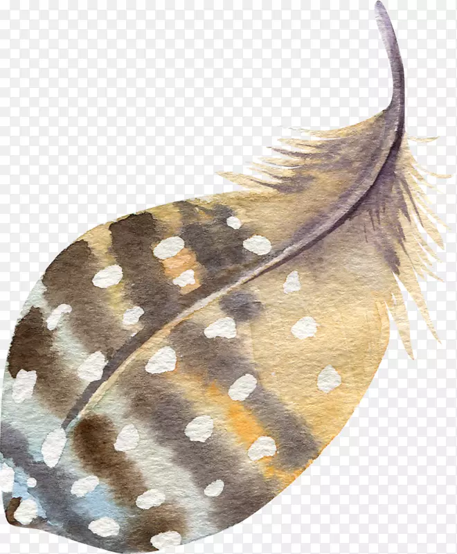 ������ëˮ�ʻ�ͼ��-��ë-������