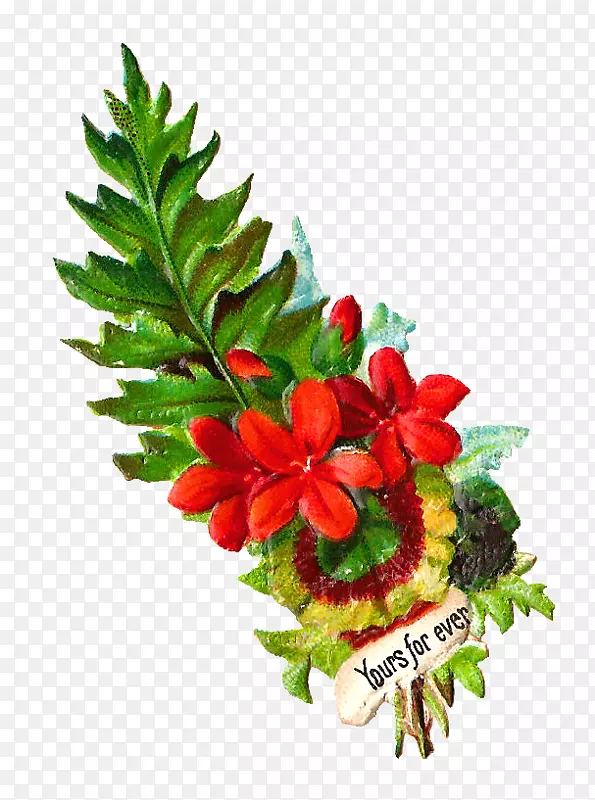 �л��������ާ��ֲ�ﻨ-������