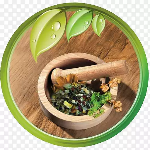 ��ҩ�Ʒ�����-������