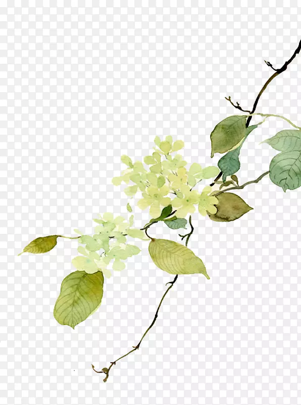 ���ػ���ʻ����-������