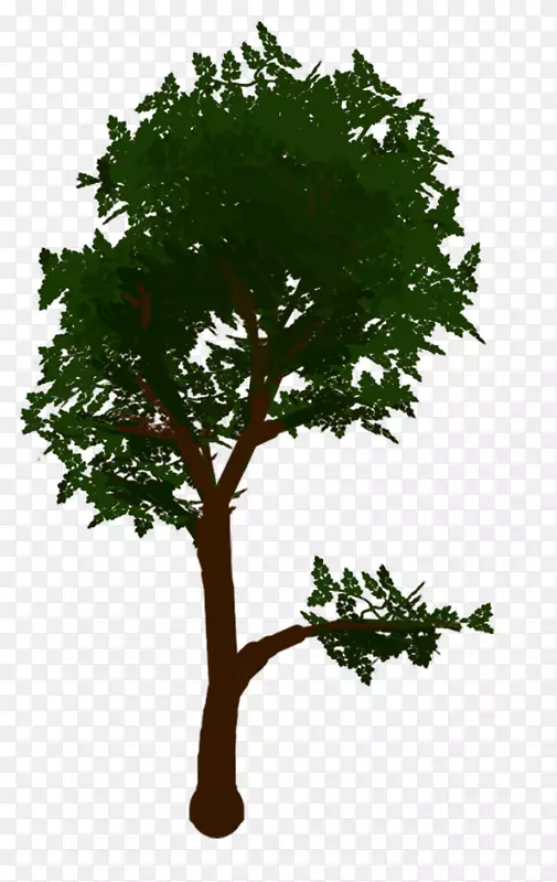 ����������Ӱ����-������