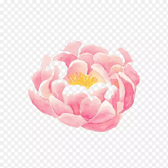 ˮ�ʻ���ͼ.ˮ�ʻ���-������