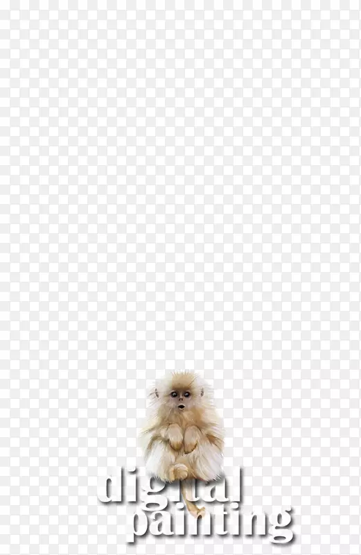 ���������Ǳ���ëƤˮ��С����-������