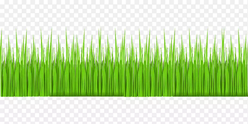 ��ƺ�ݻ�԰��-������