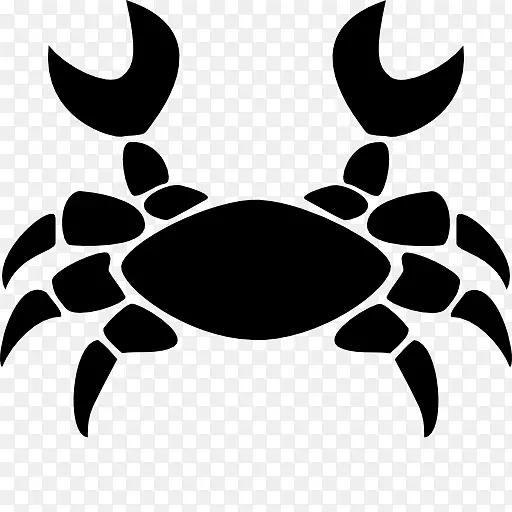 ��֢ռ��ѧ����ʮ����Ф-�ΰ�-������