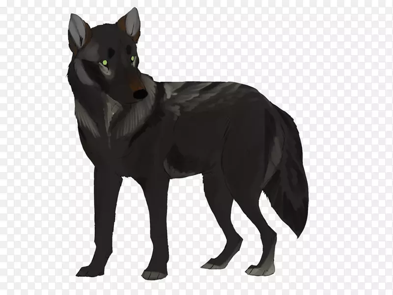 Ȯ������������Ȯ������Ȯ��ë��Ȯ-������