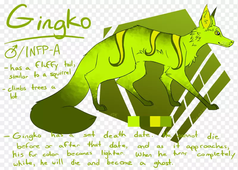 �����-����-������