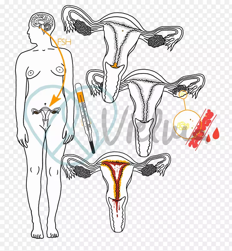 ��׵����ƽ����Ƽ��������-������