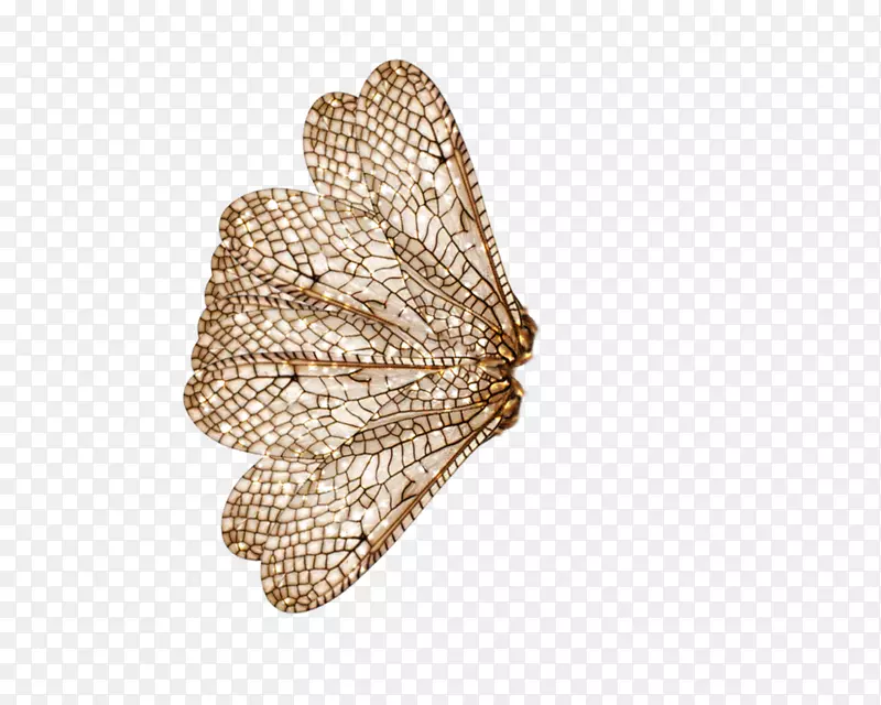 ��������������-����-������