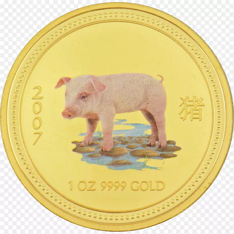 ����-��-������