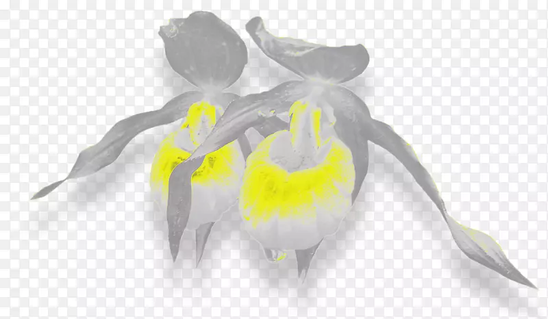 �л�����-������