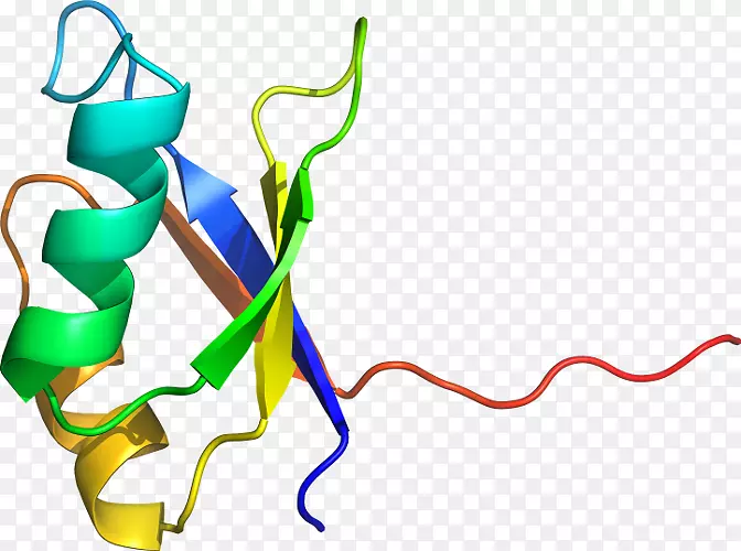 ƽ������ߵ��������-������