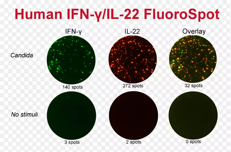 �ӷ���ѧ�����Ϧ�������ݿ�����ѧˮ��ȴ��ѧ-������