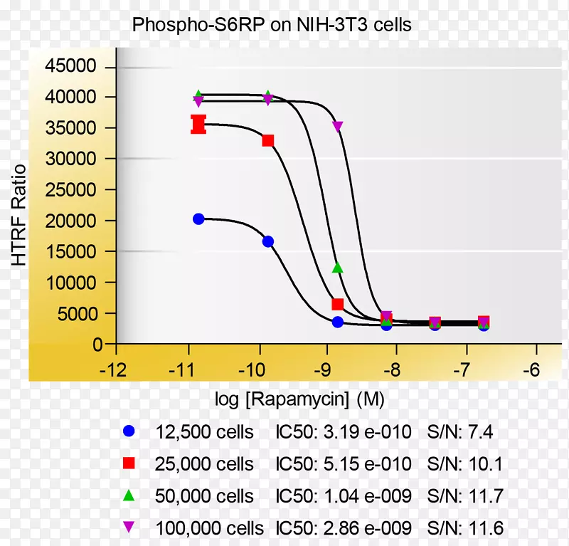 �ߵ��������-������
