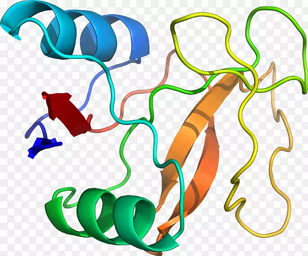 ���������л����߼�������-������