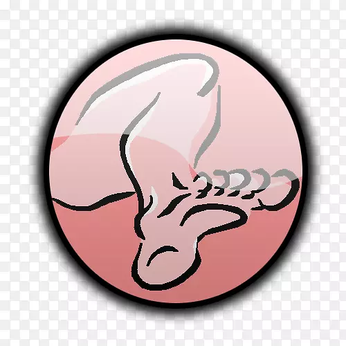 ʥ��������˹���˵���ͼ��ȭͷ���ӵľֲ���ʹ�ۺ�֢-������