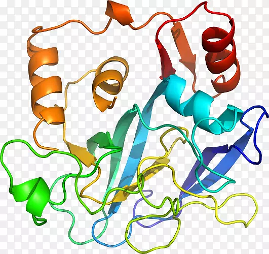 ���������л����߼�������-������