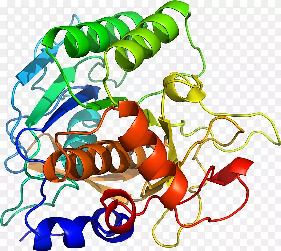 �߲��л���ϵ�м�����-�߲�-������