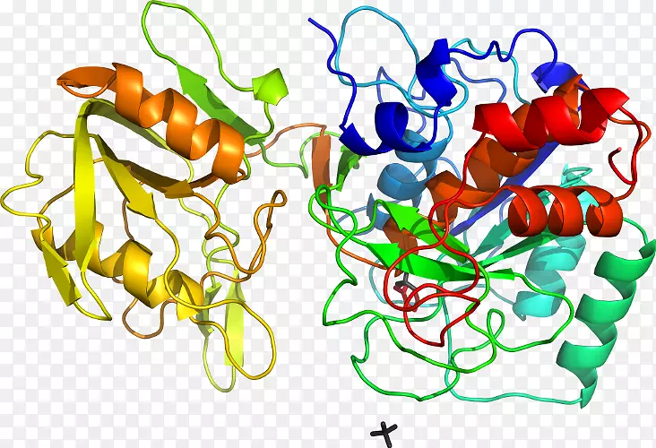 ����ʳ�ﴫ����-����-������