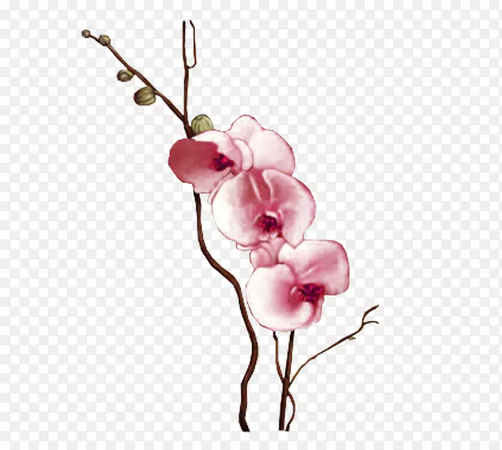 ������Ӱ������-��-������