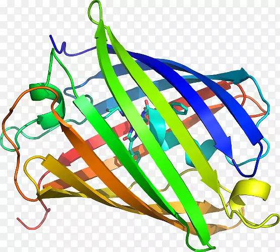 �߲��ߵ������-�߲�-������