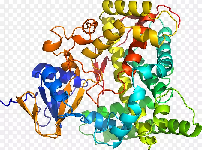 ���������л����߼�������-������