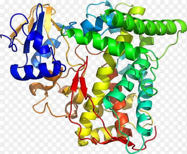 ���߼�����-��-������