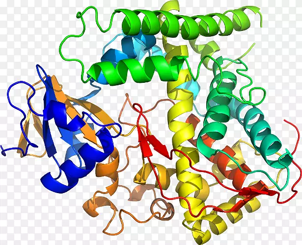 ���������鱦�л����߼�������-������