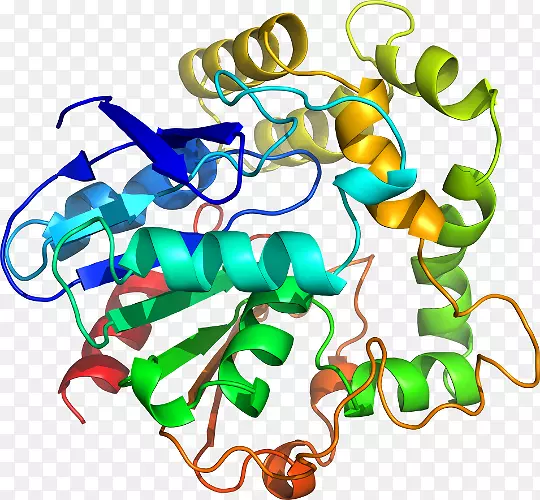 ���������л����߼�������-������