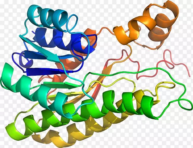 ���������л����߼�������-������