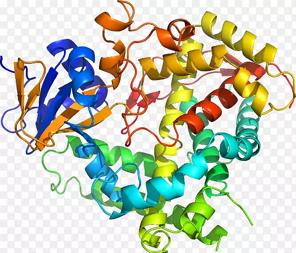 ���������鱦�л����߼�������-������