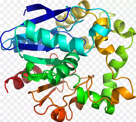 �����鱦���л����������-������