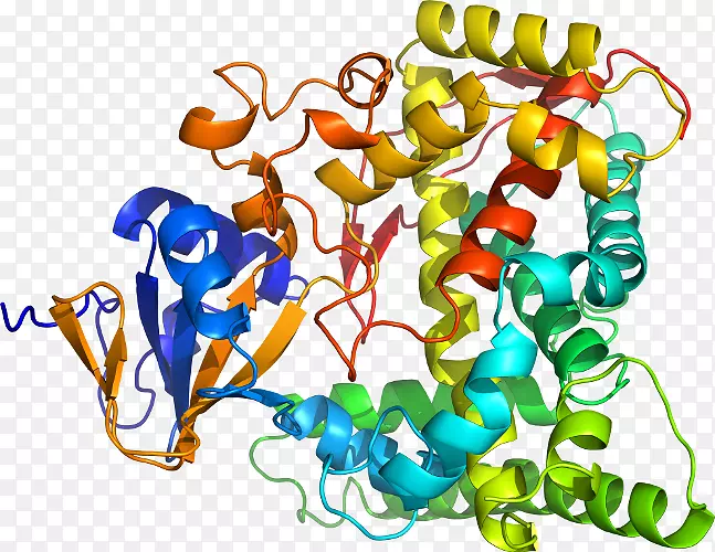 ���������鱦�л����߼�������-������