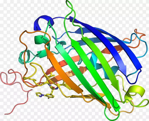 ֱ�ߵ�ֲ�ﾥ��������-������