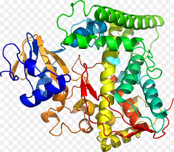 ���������л����߼�������-������