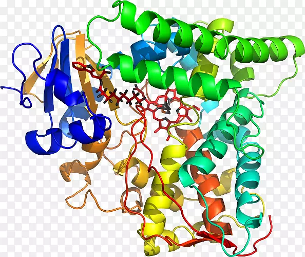 ���������鱦�л����߼�������-������