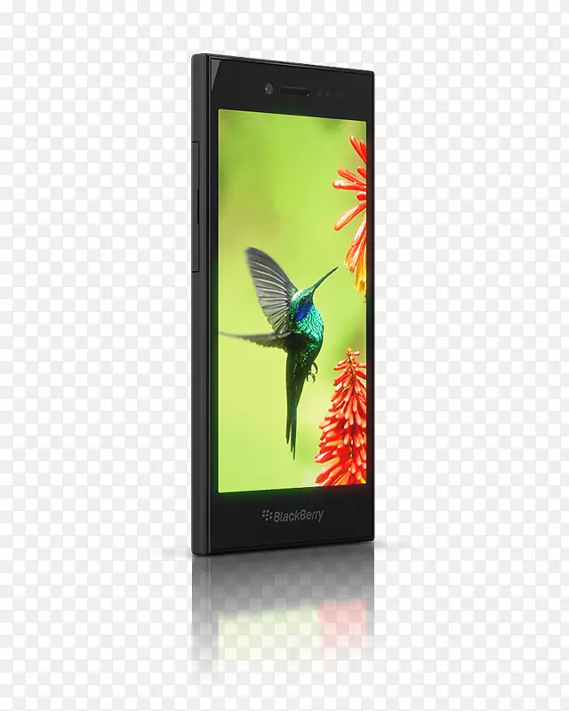 �����ֻ���ݮ��Ծʽ��Ļ������-����Ļ�ֻ�-������